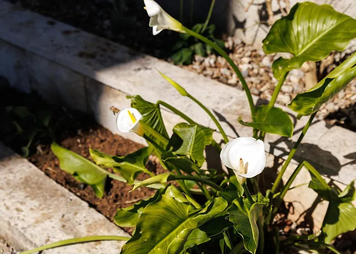 Apartman Kalla Opatija